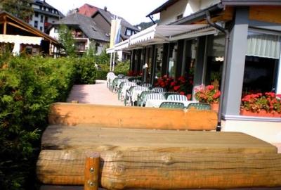 фото отеля Hotel Am Kurpark Todtmoos