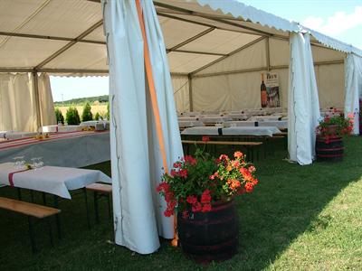 фото отеля Blum Pince Borozo Vendeghaz