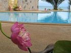 фото отеля New Lapaz Villa And Resort Koh Samui