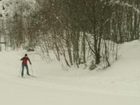 фото отеля Bauernhof Redler Hof