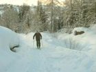 фото отеля Bauernhof Redler Hof