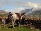 фото отеля Tradicion Colca