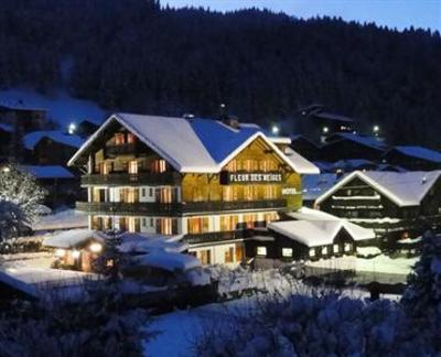 фото отеля Chalet Hotel Fleur des Neiges