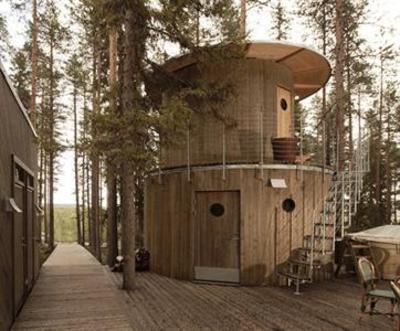фото отеля Treehotel
