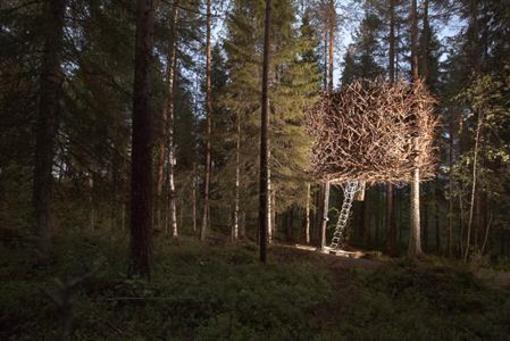 фото отеля Treehotel