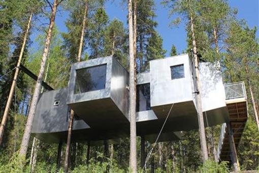 фото отеля Treehotel