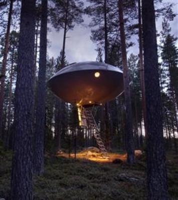 фото отеля Treehotel