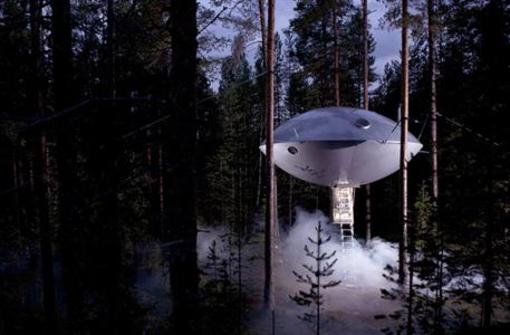 фото отеля Treehotel