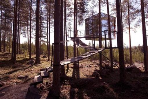фото отеля Treehotel