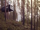 фото отеля Treehotel