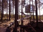 фото отеля Treehotel
