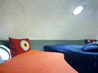 фото отеля Treehotel