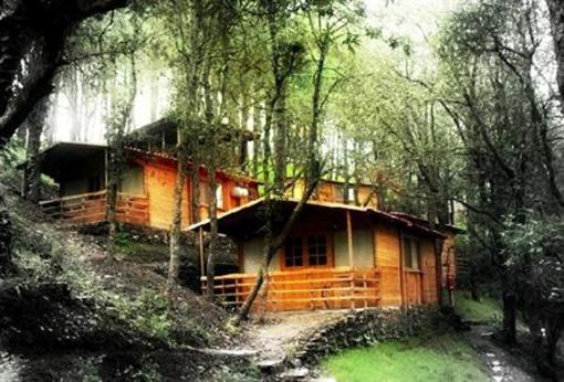 фото отеля Aamod Resort Shoghi