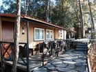 фото отеля Aamod Resort Shoghi