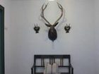 фото отеля Greier's Appartements & Ferienwohnung Telfes im Stubai