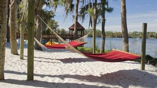 фото отеля Grand Beach Resort Orlando