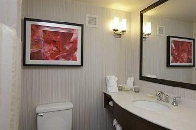 фото отеля Hilton Garden Inn New Orleans Convention Center