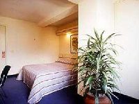 Lincoln Suites Venantur