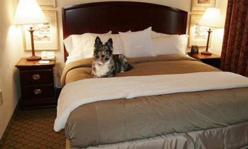 фото отеля Homewood Suites Southwind Memphis