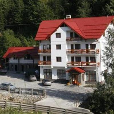фото отеля Hotel Paltinis