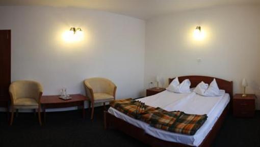 фото отеля Hotel Paltinis
