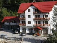 Hotel Paltinis