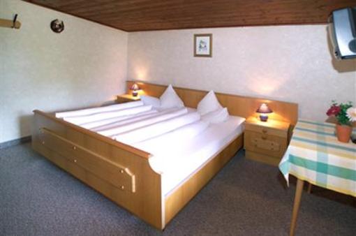фото отеля Hotel Linde Worgl