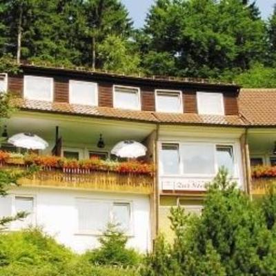фото отеля Hotel Pension Zur Steinburg