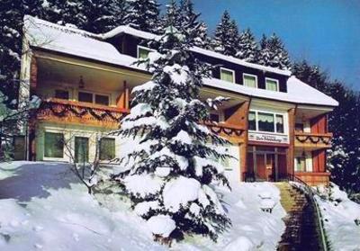 фото отеля Hotel Pension Zur Steinburg