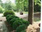 фото отеля Bellamy Manor & Gardens Bed and Breakfast