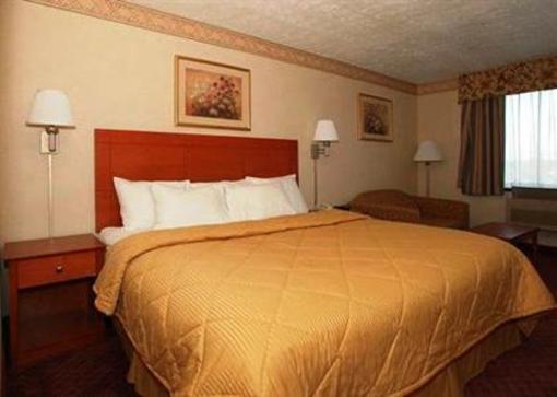 фото отеля Comfort Suites Rochester (New York)