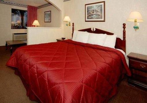 фото отеля Rodeway Inn & Suites Hwy 290 NW