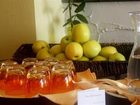 фото отеля Das Reinisch Hotel