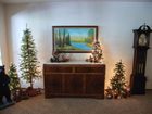 фото отеля Christmas Tree Inn