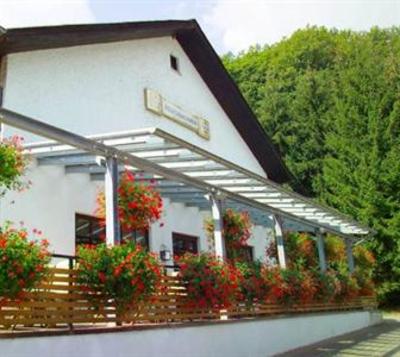 фото отеля Felschbachhof Wald Hotel Kusel