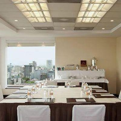 фото отеля Fiesta Americana Grand Chapultepec