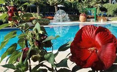 фото отеля Mare e Pineta Hotel