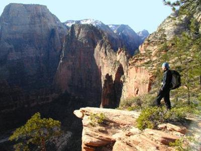 фото отеля BEST WESTERN East Zion Thunderbird Lodge