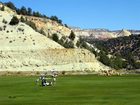 фото отеля BEST WESTERN East Zion Thunderbird Lodge