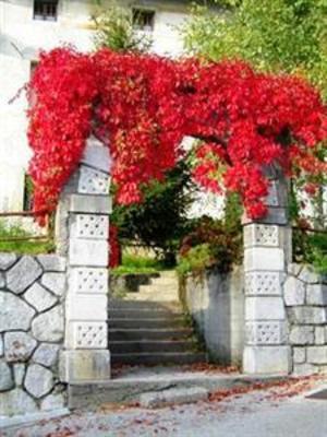 фото отеля Albergo Diffuso Balcone sul Friuli