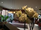 фото отеля Antares Hotel Honfleur