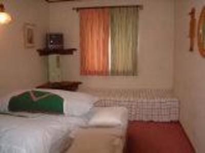 фото отеля Pension Tannenhof Nozawaonsen