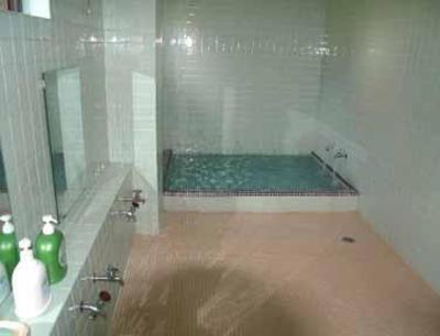 фото отеля Pension Tannenhof Nozawaonsen