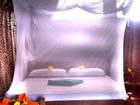 фото отеля Mwazaro Beach Mangrove Lodge