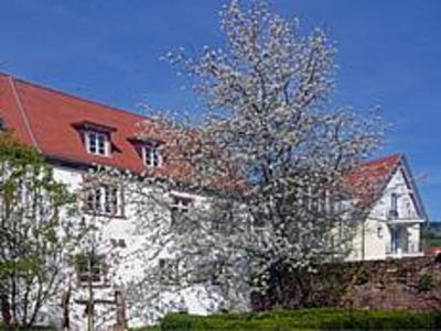 фото отеля Hotel Rosenthaler Hof Kerzenheim