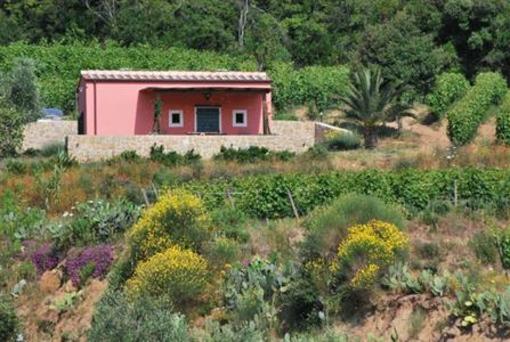 фото отеля Agriturismo Valle di Lazzaro Portoferraio