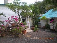 P.California Inter Hostel