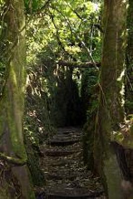 фото отеля Hacienda Puerta del Cielo Ecolodge Masatepe