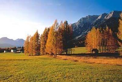 фото отеля Familien-Landhotel Stern