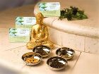 фото отеля Ayurveda And Spa Resort Sonnhof Thiersee